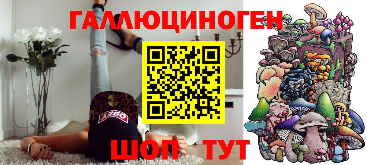 Галлюциногенные грибы Psilocybine cubensis  Псилоцибиновые грибы MAGIC MUSHROOMS  Вход с VPN  Астрахань 