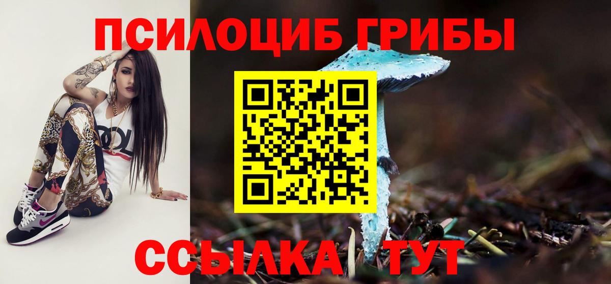 Псилоцибиновые грибы мицелий Астрахань